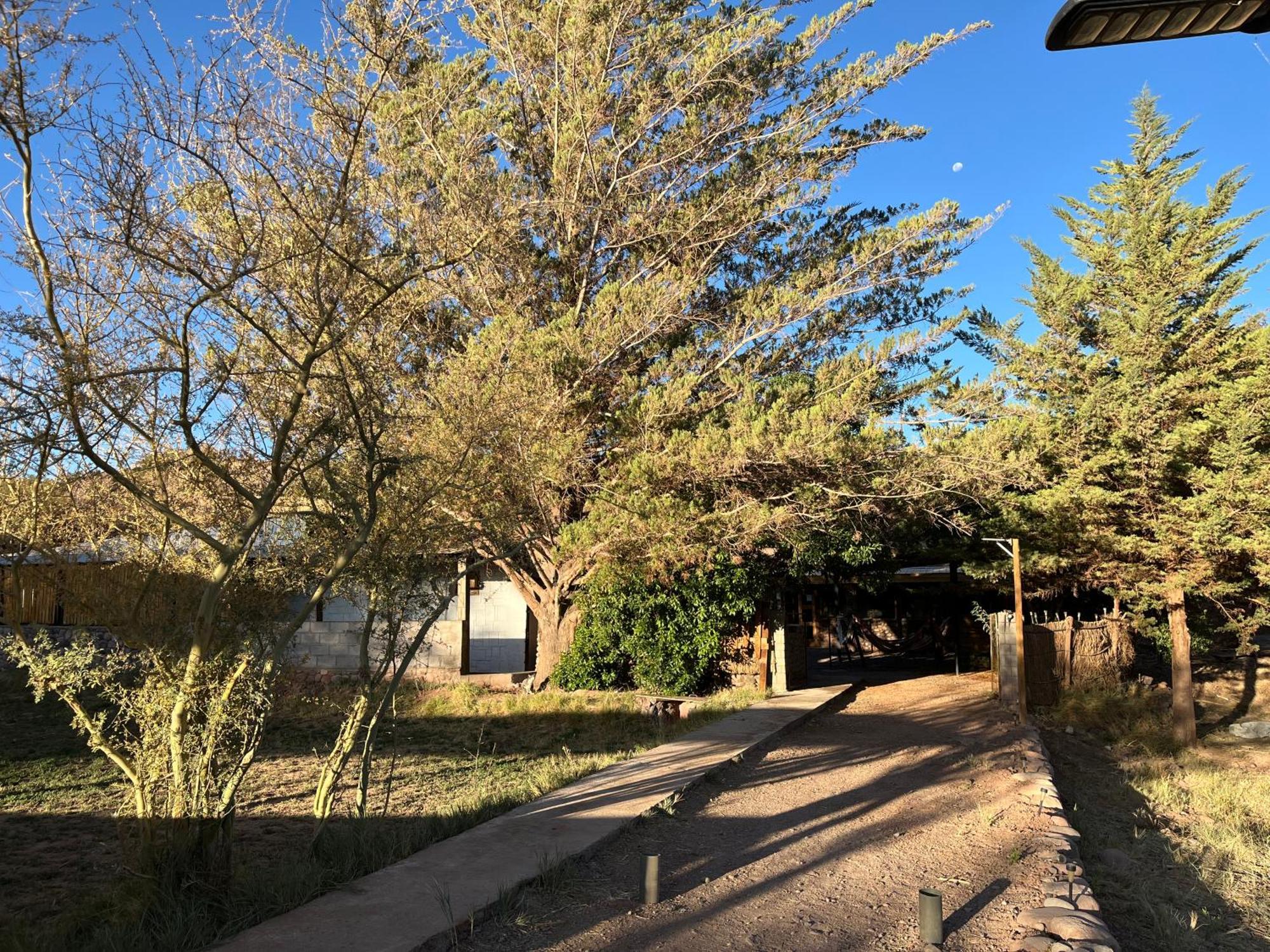 Hostal Piedrita De Rio San Pedro de Atacama Exteriör bild